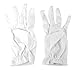 Butterfly Twinkles Girls Tea Party Stretch Polyester Dress Short Gloves Set of 4 White Childrens Costume