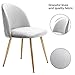 ZHENGHAO Upholstered Velvet Desk Chairs, Tufted Accent Living Room Chairs with Gold Plating Metal Legs for Living Room/Occasional/Vanity/Patio, Set of 2 (Thunder Gray)