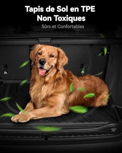 3W Floor Mats for Tesla Model Y 2020-2024 2025(Not Compatible with Con il 2025 Model Y Juniper), TPE Car Mats with Top Carpet and Boot Liner Non-Slip Waterproof