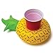 BigMouth Inc Inflatable Drink Holder for Pool - Floating Cup Holder for Hot Tub & Water - Fun Outdoor Beverage Float - Fruit