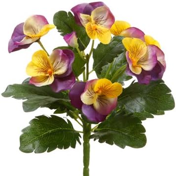 8" Pansy Bush Lavender Yellow (Pack of 12)