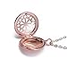 ZX Jewelry Rose Red Aromatherapy Essential Oil Diffuser Locket Pendant Necklace for Women Men