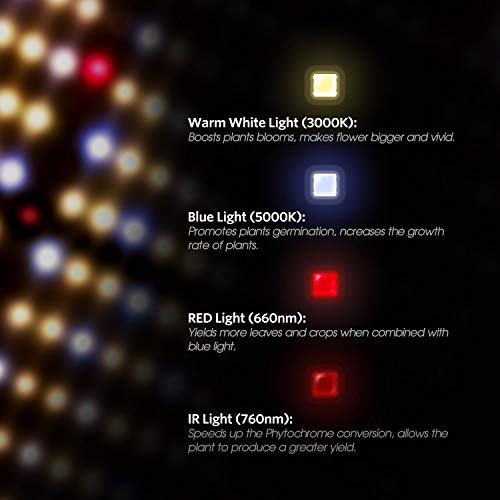 Spider Farmer SF4000 Grow Light - Image 7