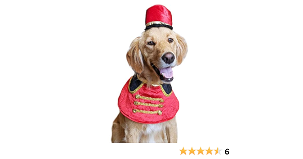 nutcracker dog costume