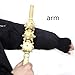 Original Fascia and Cellulite Blaster Massage Roller- Deep Tissue Pressure Stick- Trigger Point Myofascial Release Balls - Fast Relief Muscle from Sore&Massage Fat for CARELAX(15.6