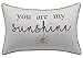 YugTex Pillowcases You are my Sunshine Embroidered Throw Pillow Cover for Birthday Gift Quote Pillow Cover Canvas Pillowcase Valentines Day Gift for Her housewarming gift (12"x18", Ivory) primary