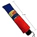 Travel Umbrella, 10 Rib Strong Enough Wind Resistant Frame, Collapsible, Compact and Durable, Lightweight and Cute (Rainbow)