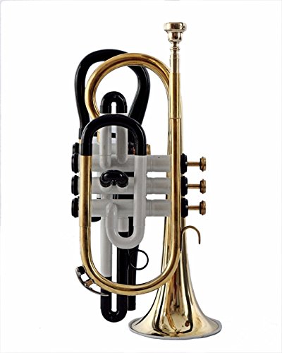 WHITE COLOR ECHO CORNET Bb PITCH FOR SALE WITH FREE HARD CASE AND MOUTHPIECE