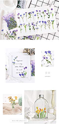 Molshine 240pcs PET Transparent Decorative Stickers -Flowers Plant Series Decals for DIY,Personalize,Bullet Diary Decoration,Laptops,Scrapbook,Luggage,Cars,Books -6 Packs of Different Styles