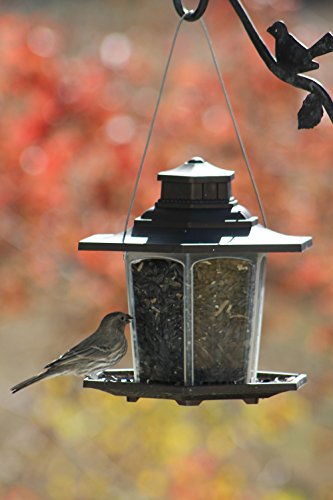 Stokes Select Bird Feeder, 6 Feeding Ports, 2.6 lb Bird Seed Capacity, Gazebo Wild Bird Feeder, Brown