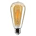 Dimmable Vintage Edison LED Bulb, 4W 40W ST64 Antique LED Bulb Squirrel Cage Filament Light For Decor Home Kitchen-E26,E27-2300K-Warm White