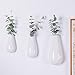Sibon Wall Mounted, Hanging Decorative Flower Planter Vase Ceramic,White,3PCS