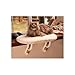 K&H Pet Products Kitty Sill Fleece, Cat Window Perch Unheated - 14 X 24 Inches