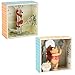 Hallmark (2 Piece Winnie The Pooh Figurines Collectibles Pooh Bear & Tigger Shadow Box Figures Sets