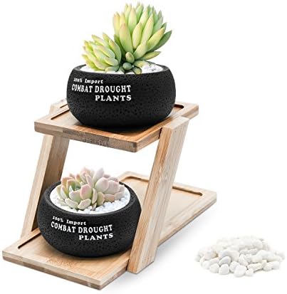 Puaida 2.95(pot) Inch Succulent Planter with Bamboo Tray, Round Black Plant Pot for Succulent Plants, Small Cactus and Herbs with Bamboo Tray and Stone for Room Decor- Set of 2