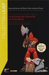 Le  principe de nécessité en droit pénal