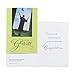 DaySpring Graduation Boxed Greeting Cards w Embossed Envelopes - Traditional, 12 Count