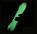 9 Strand 550 Luminous in The Dark Paracord Parachute Cord (White, 50ft)
