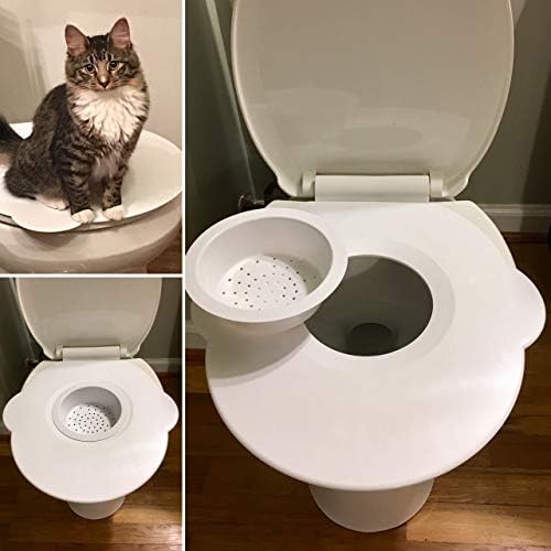 amazon cat toilet training