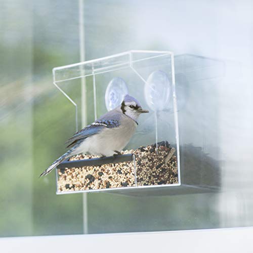 Wild Birds Of Joy Window Bird Feeder With Strong Suction Cups And Seed Tray With Drain Holes Small Compact Clear Acrylic Easy Clean Outside Feeders For Transparent Viewing Pricepulse