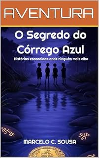 Livro O SEGREDO DO CÓRREGO AZUL: Histórias escondidas onde ninguém mais olha