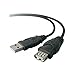 Belkin F3U134B06 Pro Series 6-Foot USB Extension Cable