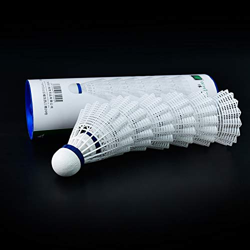 WHIZZ Badminton Birdies Nylon Shuttlecocks, Tube of 6 (White)