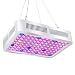 Roleadro LED Grow Light, Reflector-Series 600W Plant Light Dual-Chip with ON/Off Switch and Daisy Chain, Red Bule Full Spectrum Grow Light for Indoor Plants, Hydroponic, Veg and Flower