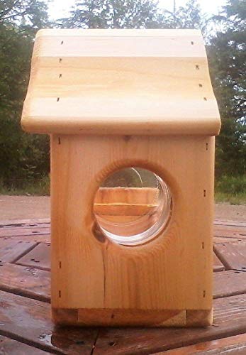 Fence Mount Gallon Glass Jar Squirrel Feeder Cedar Wood Import