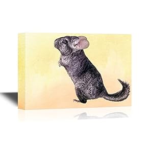 Canvas Wall Art - Gray Ebonite Chinchilla - Gallery Wrap Modern Home Art | Ready to Hang - 12x18 inches