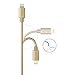 Luxtr - iPhone Charger - 6.5 ft - True Apple Certification, ToughArmor Aluminum and Nylon Design, Works with All Lightning Devices - Gold
