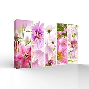 Colorful Flowers Pictures Home Wall for Bedroom Living...