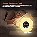 dostyle Wake Up Light Alarm Clock with Sunrise & Sunset Simulator, 6 Nature Sounds, 7 Colors Night Light, FM Radio, Touch Control - with Snooze Function for Heavy Sleepers - White