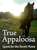 True Appaloosa