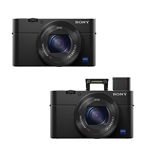 Sony Cyber-shot DSC-RX100 IV Camera w/ Sony Underwater Housing Accessory Bundle