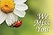 We Miss You Ladybug Postcard (Pkg of 25)