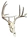 Skull Hanger, Firearms Style