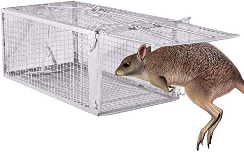 Large Animal Humane Live Cage Rat Trap for Rat, Mouse, Hamster and Other Rodents - Thumbnail 4