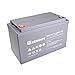 Renogy Deep Cycle AGM Battery 12 Volt 100Ah for RV, Solar Marine and Off-grid Applications
