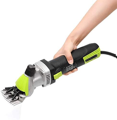 livestock grooming supplies