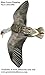 Sillosocks Flapping Blue Goose Decoy