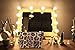 LAIXING Makeup Bag Travel Cosmetic Bag for Purse Small Bag Leopard Cute Pouch Gift for Women and Girls