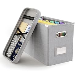 Oterri File Organizer Box with Lid, Hanging Filing