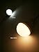 SunJack CampLight (TM) USB LED Bulb 340 Lumens - Warm White (for Camping, Hiking, Fishing, Backpacking and Other Outdoor Activities, as Well as Emergency)