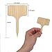 VMIZIV 50Pcs Bamboo Plant Markers & Labels Little Tool Gardening Accessories 2.4″ x 4″.thumb 2