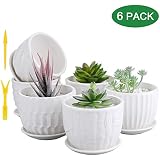 Brajttt Mini Ceramic Planters, 4 Inch Cylinder Ceramic Plant Pots with Connected Saucer, Planters for Succuelnt and Little Snake Plants (6 Pack, White)