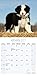 2024 2025 Border Collie Calendar - Dog Breed Monthly Wall Calendar - 12 x 24 Open - Thick No-Bleed Paper - Giftable - Academic Teacher's Planner Calendar Organizing & Planning - Made in USA