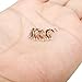 Jstyle 20G 10 Pcs Stainless Steel Nose Rings Studs Screw Piercing Body Jewelry 1.5mm