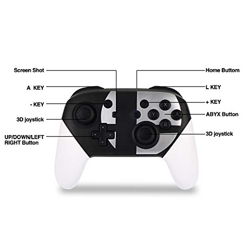 railay ps4 controller