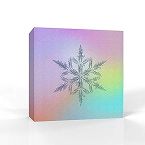 Canvas Wall Art - Snowflake Theme - Modern Home Art Stretched and Framed Ready to Hang - 12x12 inches